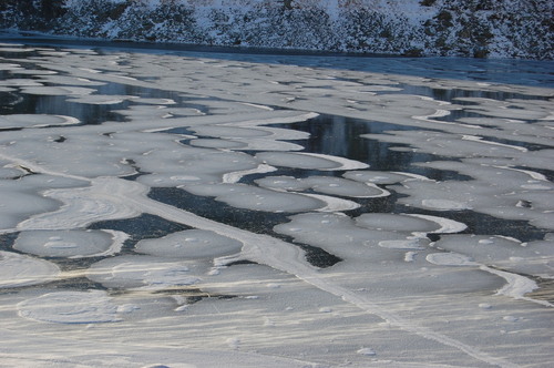 Dsc_0172_large