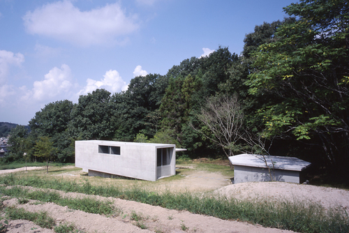 Ibara-2_large