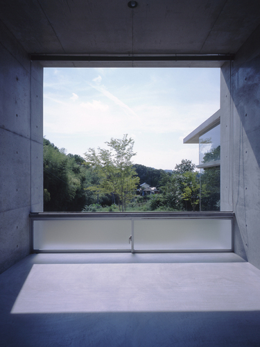 Ibara-7_large