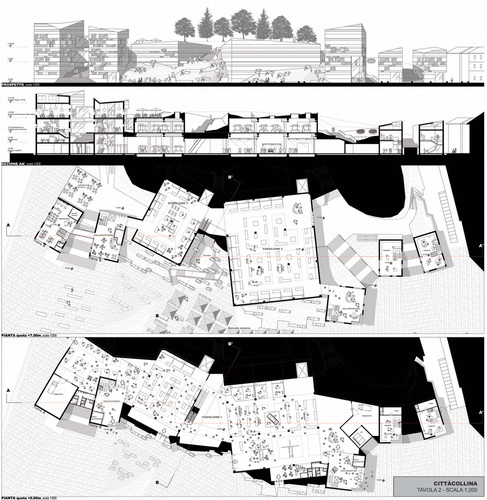 Prosp-piante_large