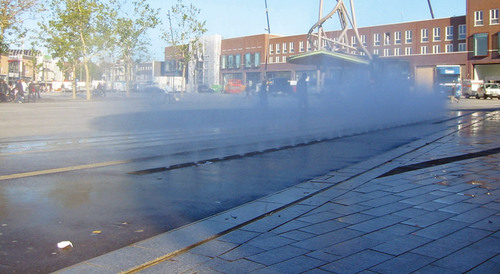 Okra-fog_large