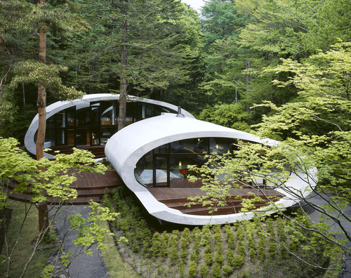 Shell005_large