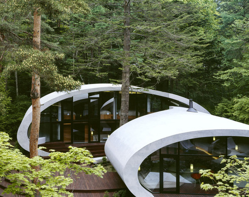 Shell006_large