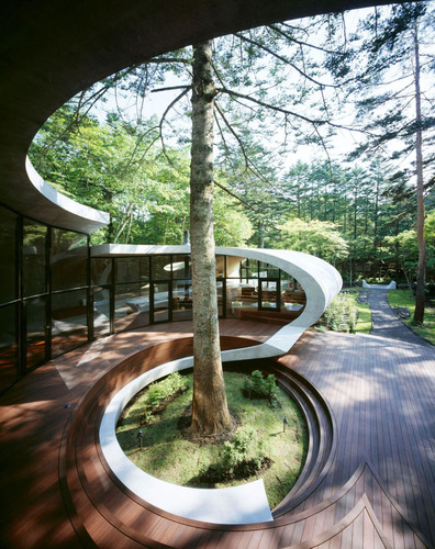 Shell017_large