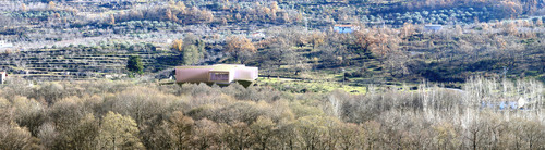Pan_large
