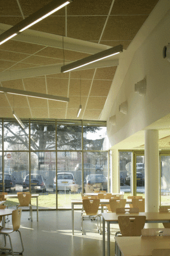 Phileas-school7_large