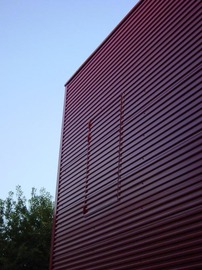 Festival_4
