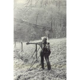 Immagine-01avd_normal