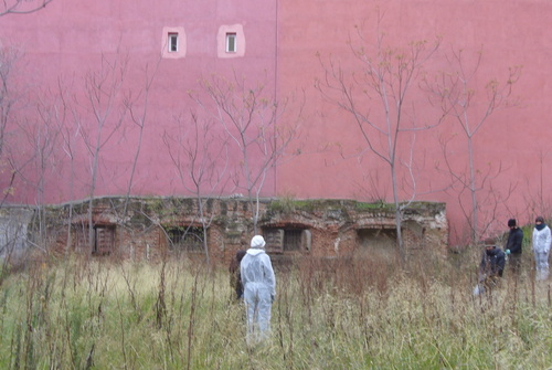 02_large