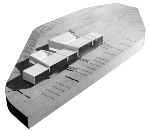 1_dia1_large