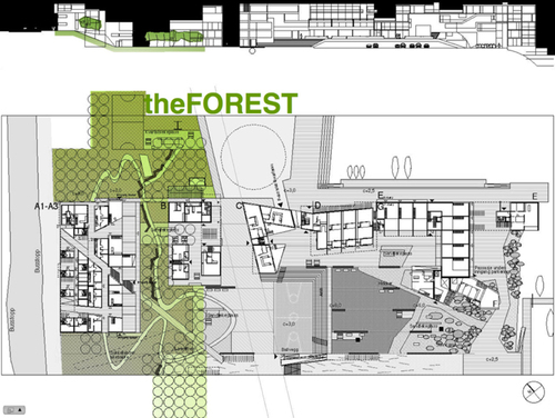 01forest_1_large