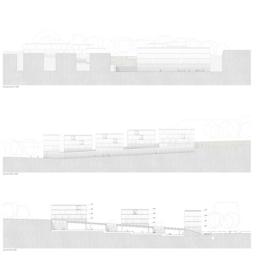 Sez-prosp_1_large