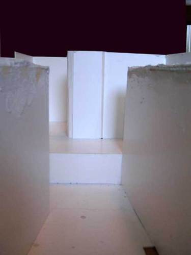 560036078_large