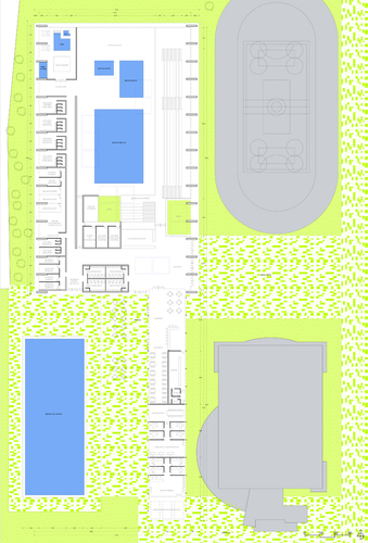 Planta_large