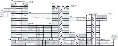 Section-1_large