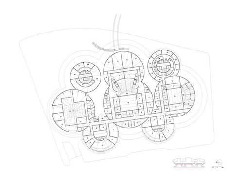 Planta-_19_80_large