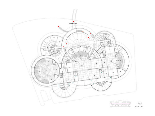 Planta-_23_30_large