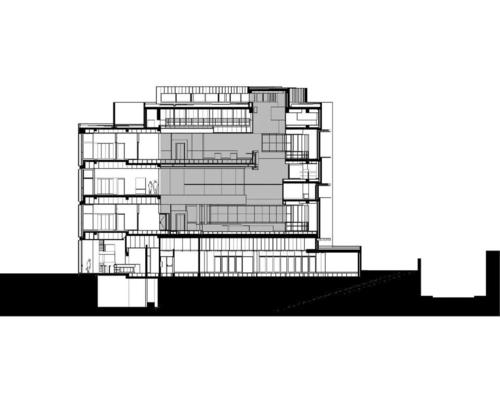 Corte_transversal_large