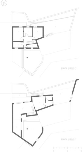 Piante_large