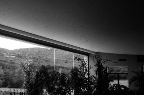 01_large