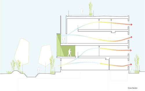 Section_large