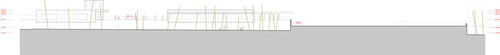 Sección-general-1_large