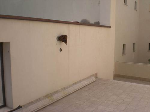 Ariete-cortile_large