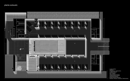 Planta_-1_large