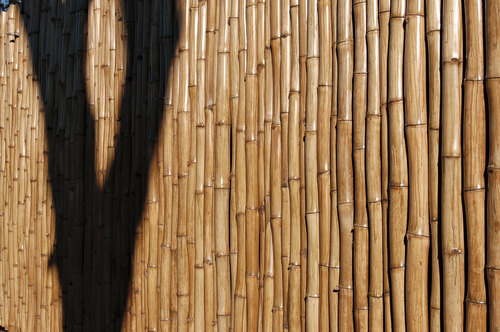Aandb-photodesign_01_large
