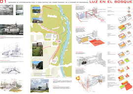 Luz-en-el-bosque-01_normal