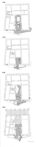Ajmr_pln3_plantes_large