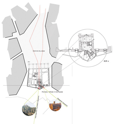 Ajmr_pln4_planta_large
