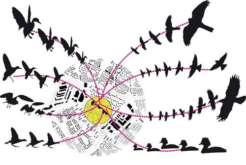 Lola_Årsta_park_birddiagram_large