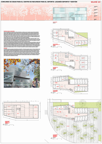 Muare-2_large