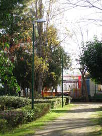 Pc050191_normal