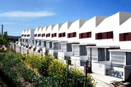 Fte-tojar-solinas-verd-_1_1_normal