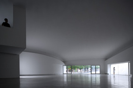 36_normal