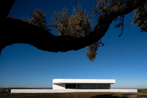 Siza-adega_033_large