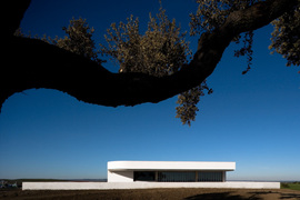 Siza-adega_033_normal