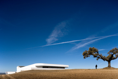 Siza-adega_037_large