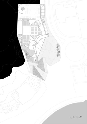 Lz-plantaprimera_large