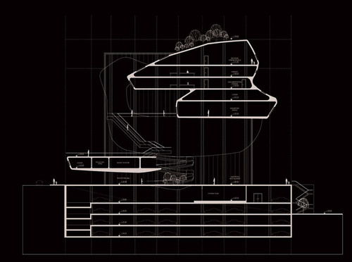 Section-1_large