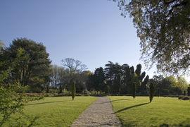 02_serralves_normal