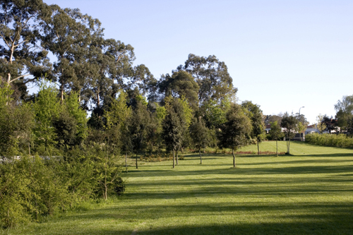 03_serralves_large