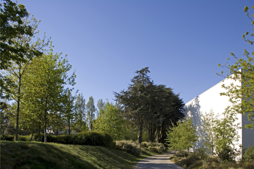 04_serralves_large