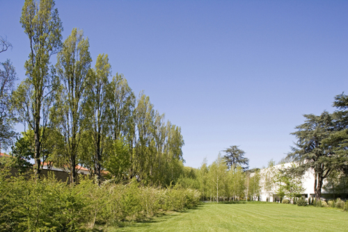 07_serralves_large