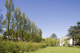 07_serralves_normal