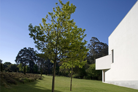 11_serralves_normal