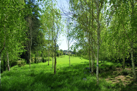 13_serralves_normal