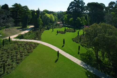 14_serralves_large